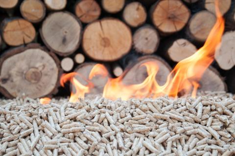 pellet