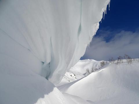 neve