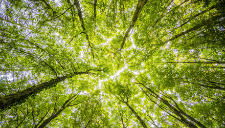green community