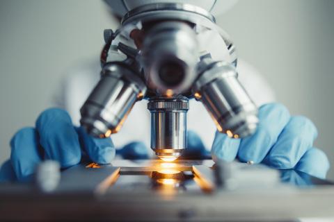 Kither Biotech